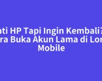Ganti HP Tapi Ingin Kembali? Ini Cara Buka Akun Lama di Lords Mobile