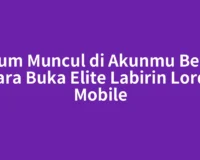 Belum Muncul di Akunmu Begini Cara Buka Elite Labirin Lords Mobile
