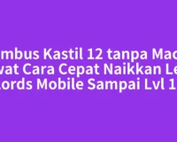 Tembus Kastil 12 tanpa Macet Lewat Cara Cepat Naikkan Level Lords Mobile Sampai Lvl 12
